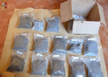 Ordina online un paio di scarpe e riceve 7 kg di allucinogeni