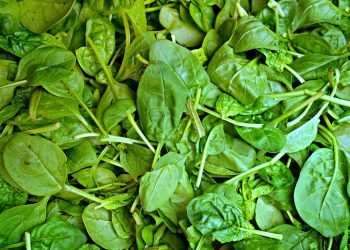 Come dimagrire 3 kg subito con gli spinaci