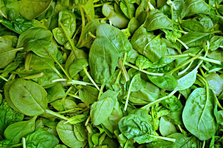 Come dimagrire 3 kg subito con gli spinaci
