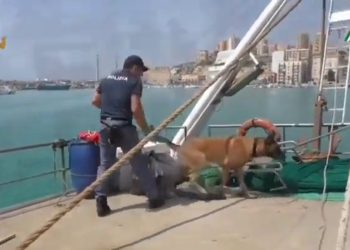 Operazione Fish & Drug, 17 misure cautelari ad Agrigento