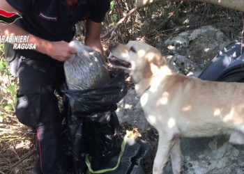 “Casa dello spaccio” a conduzione familiare scoperta nel ragusano