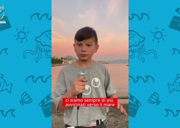 Le tartarughe ripopolano le spiagge ma per gli uccelli fa troppo caldo