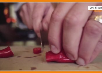 Sorsi di benessere – Salsa d’ispirazione indiana con yogurt e cumino