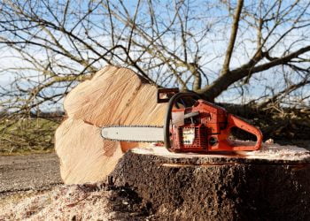 San Giovanni Lipioni, gli sfugge di mano la motosega e si taglia: muore 53enne