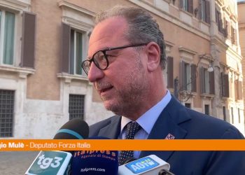 Governo, Mulè “Forza Italia solleva tema politico, non di poltrone”