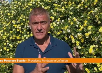 Pecoraro Scanio “La vittoria di Lula in Brasile un segno di speranza”