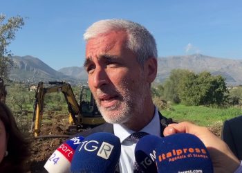 Mirri “A marzo il Palermo nel nuovo centro sportivo di Torretta”