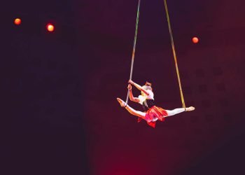 Cade da 4 metri durante spettacolo al circo: grave una 24enne acrobata