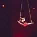 Cade da 4 metri durante spettacolo al circo: grave una 24enne acrobata