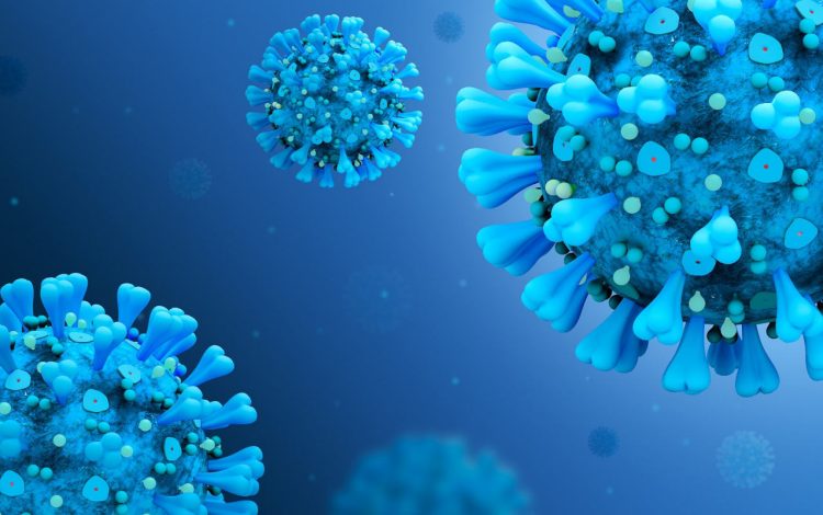 Covid, primi 2 casi di variante Centaurus in Sicilia: un bambino e un uomo