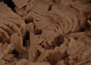 Dieta, il tonno per dimagrire subito: menù