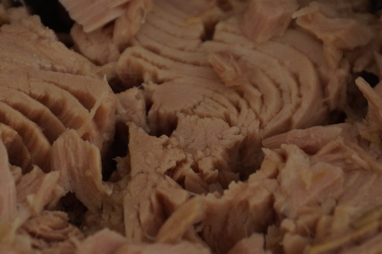 Dieta, il tonno per dimagrire subito: menù