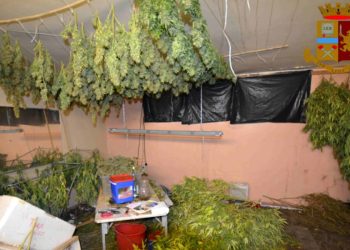 Polizia sequestra 200 kg di marijuana e una pistola clandestina: un arresto a Vittoria