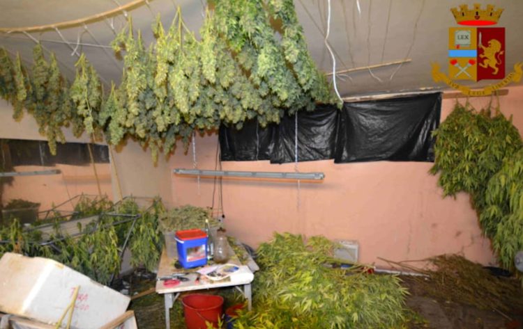 Polizia sequestra 200 kg di marijuana e una pistola clandestina: un arresto a Vittoria