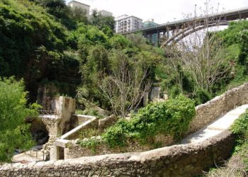 Festa a Ragusa: oggi escursione naturalistica a Cava Santa Domenica