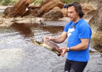 Marevivo: istituito il Ministero del Mare