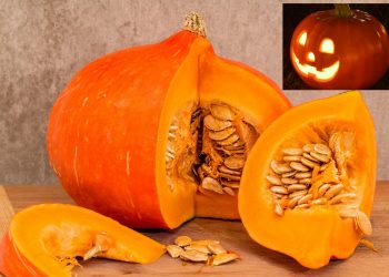 I benefici della zucca per gli occhi: la zucca non è solo Halloween