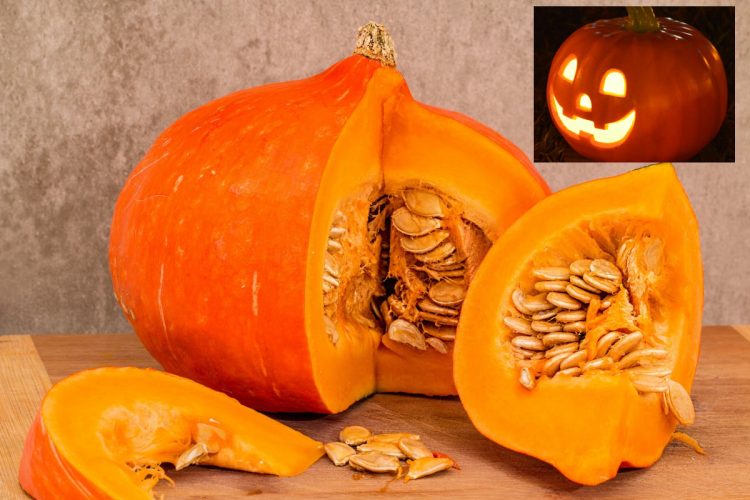 I benefici della zucca per gli occhi: la zucca non è solo Halloween