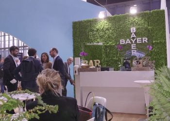 Tumore al seno, dalla voce delle donne un aiuto alla prevenzione