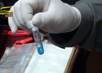 Traffico internazionale di droga, 24 arresti in 4 regioni