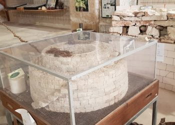 Le vie dei tesori 2022 a Scicli: alla scoperta del Museo naturalistico di San Vito