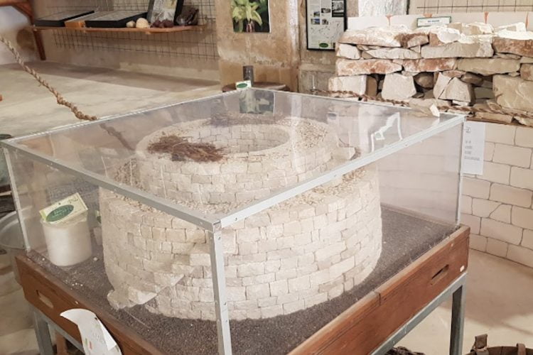 Le vie dei tesori 2022 a Scicli: alla scoperta del Museo naturalistico di San Vito