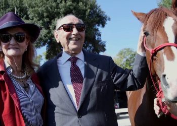 Il viaggio del cavallo Persano per la salute mentale arriva a Roma