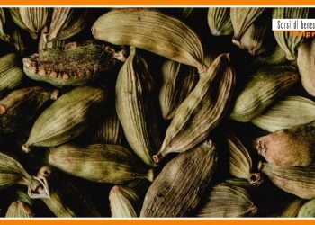 Sorsi di benessere – Tre ingredienti per una tisana energizzante