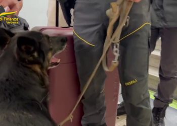 Trasportava cocaina dalla Svizzera, arrestato a Verbania