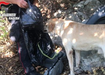 Operazione The family: smantellata casa dello spaccio a Pozzallo