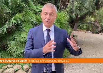 Pecoraro Scanio “Grande assemblea civica ed ecologista con Conte”