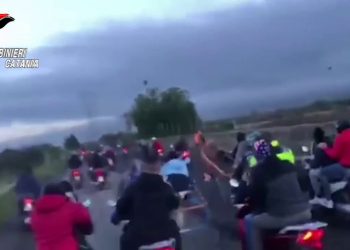 I carabinieri bloccano una corsa clandestina di cavalli nel catanese