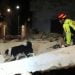 Crolla tetto di un edificio disabitato nel Leccese, nessun ferito