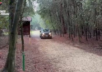 Comacchio, arrestato presunto autore di tre violenze sessuali