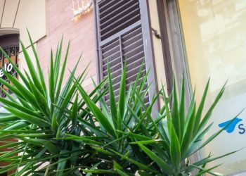 Banca Popolare Sant’Angelo sostiene le imprese artigiane in Sicilia