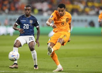 Gakpo e Valencia, Olanda-Ecuador 1-1 e Qatar eliminato