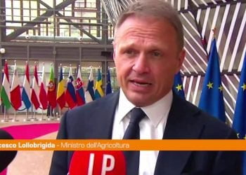 Agricoltura, Lollobrigida “Servono politiche compatibili con attività”