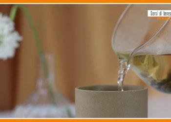 Sorsi di benessere – Malva e rabarbaro per una tisana della salute