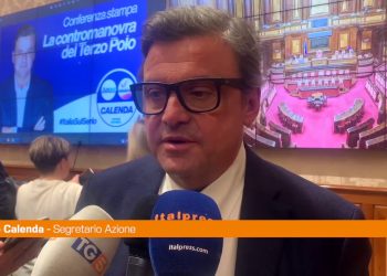 Manovra, Calenda “Concentrare risorse su sanità e giovani”