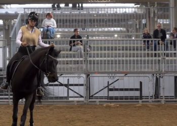 Equitazione, Di Paola “Obiettivo salto ostacoli a Parigi 2024”