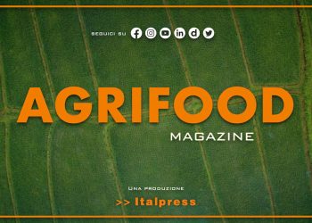 Agrifood Magazine – 23/11/2022