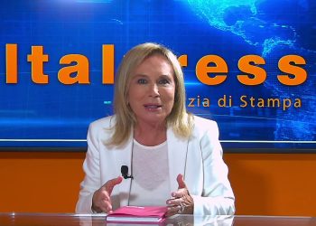 “Graffi che fanno bene al cuore”, Lambertucci e l’amore per i gatti