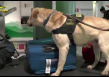 Scoperti in aeroporto a Bologna oltre 4,5 mln di valuta non dichiarata