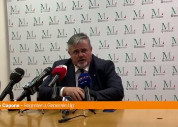 Lavoro, Capone “Serve il taglio del cuneo fiscale”