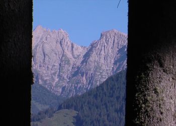 Quattro comunità forestali sostenibili premiate a Ecomondo