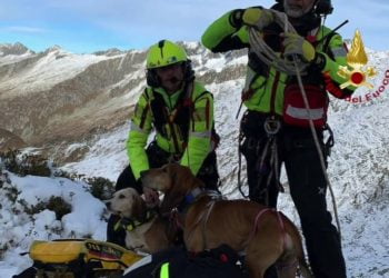 Salvati due cani in difficoltà in alta quota nel bresciano