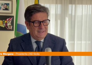 Morgana “Lnd Sicilia contro la violenza sulle donne, denunciamo”