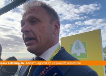 Lollobrigida “Sul cibo sintetico servono ricerche e verifiche”