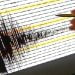 Altro violento terremoto di magnitudo 5.9