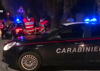 Spara ai cani della ex e alla cugina della donna, arrestato